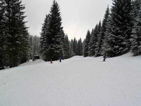 Diversité des pistes Ammergauer Alpen – Diversité des pistes Steckenberg – Unterammergau