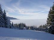 Descente familiale au-dessus de la brume