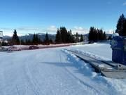 Tapis roulant gratuit à Fiorentini