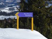 Signalisation de la piste Buckelpiste