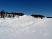 Piste d'entraînement Tussebakken