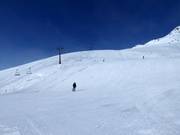 Large piste n° 3 Wilder Mann