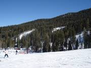 Vue sur les pistes du domaine skiable Sierra at Tahoe