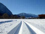 Pistes de ski de fond dans la vallée avec vue sur le Hochstein