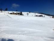Kinderlift I - Télécorde/remonte-pente à câbles bas