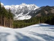 Steinbergriedel n° 11