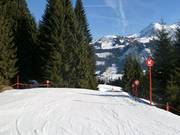Descente vers la vallée depuis le Walmendingerhorn