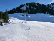 Pistes au télésiège 6 places Schrattenwang