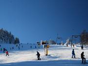 De difficulté moyenne : piste au téléski Oberer Wilddieblift