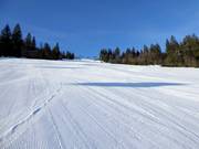 A - Piste Böhmerwaldstrecke