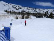 Alta Lodge Tow - Télécorde/remonte-pente à câbles bas