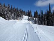 Pistes de ski de fond au SilverStar Mountain Resort