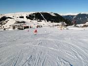 Piste au télésiège Panorama