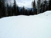 Piste facile The Last Spike