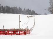 Übungslift Sinswang 1 - Télécorde/remonte-pente à câbles bas