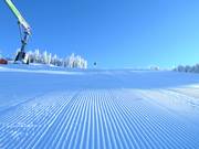 Piste fraîchement préparée