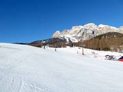 Piste facile n° 27 Roncato