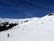 Vue sur les pistes du Großen Asitz à Leogang