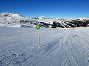 Pistes faciles dans le domaine skiable Sunshine Village