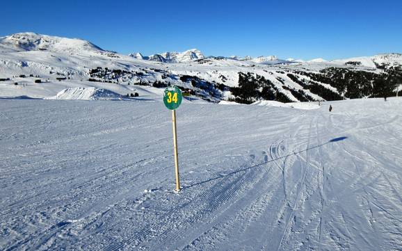 Domaines skiables pour les débutants dans le chaînon Massive – Débutants Banff Sunshine