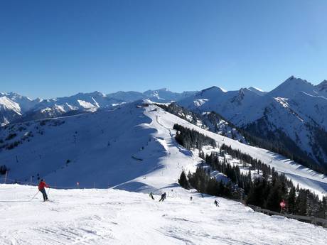 Massif de l'Ankogel: Taille des domaines skiables – Taille Großarltal/Dorfgastein