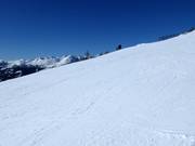 Très bonne préparation des pistes