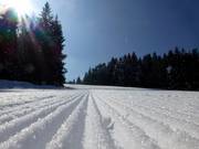 Très bonne préparation des pistes