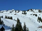 Vue des parties centrale et haute du domaine