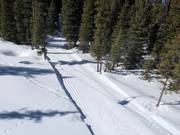 Piste de ski de fond au Big Sky Resort