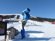 Canons à neige performants à Stöten