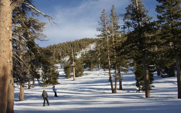 Domaines skiables pour les débutants au Nevada – Débutants Heavenly
