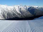Piste damée au Venet