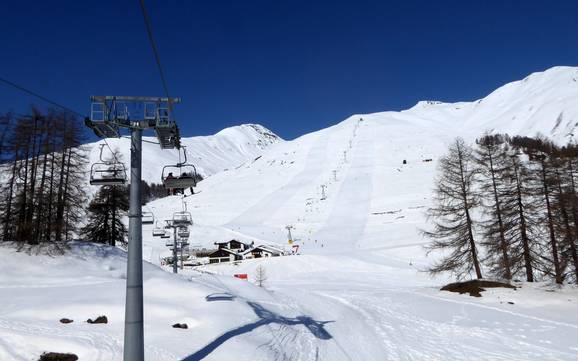 Skier à Zuoz