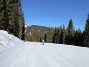 Piste facile Pozza Vecia