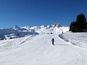Descente entre Leist et Panüöl