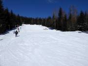 Piste d'entraînement Harmony