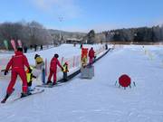 Fox park pás F1 - Tapis roulant/Moving Carpet