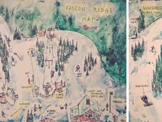 Plan des pistes Falcon Ridge