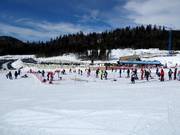 Bon plan pour les enfants : 