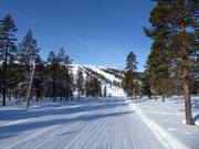 Piste facile à Östra Tandådalen