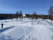 Pistes faciles au Trolliften