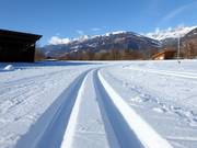 Pistes de ski de fond dans la vallée avec vue sur le Zettersfeld