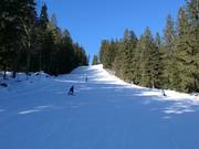 Piste de difficulté moyenne au télésiège