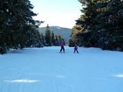 Descente au téléski Predigtstuhl II