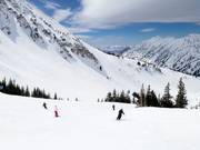 Piste au télésiège Collins