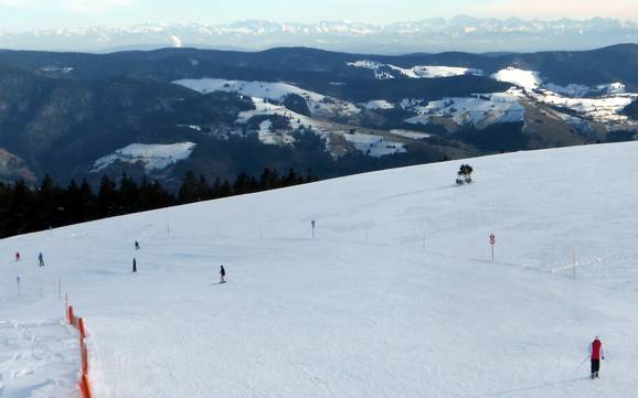 Wiesental: Taille des domaines skiables – Taille Belchen