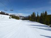 Piste facile Pony Express