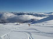 Neige fraîche au Pla d'Adet