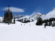 Piste facile au télésiège Sunnyside