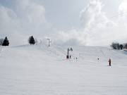 Piste facile à Crest Voland